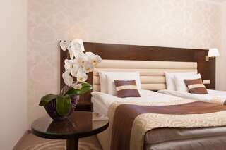 Отель Hotel Coroana de Aur Бистрица Двухместный номер бизнес-класса с 2 отдельными кроватями-5