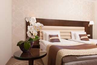 Отель Hotel Coroana de Aur Бистрица Двухместный номер бизнес-класса с 2 отдельными кроватями-17
